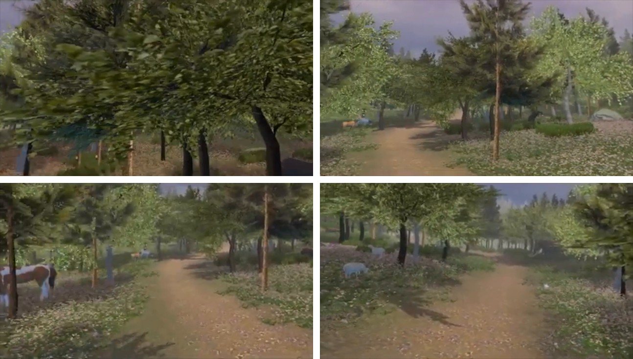 Four frames from the VR forest: a path through the trees, a horse and sheep grazing